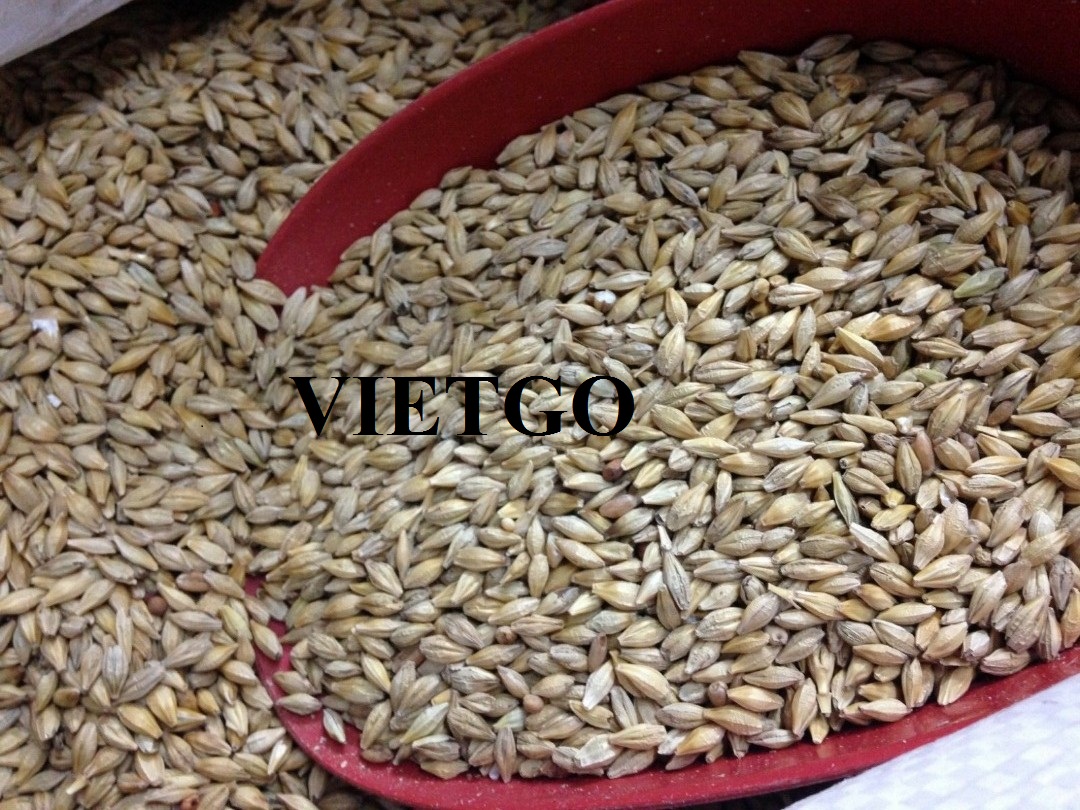 VIETGO-xuat-khau-lua-mach-Han-Quoc