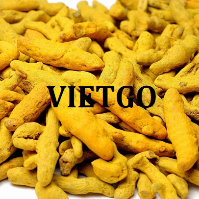 VIETGO-xuat-khau-nghệ-Ấn Độ-Rahul