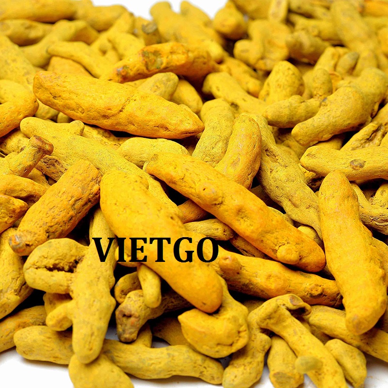 VIETGO-xuat-khau-nghe-Bangladesh
