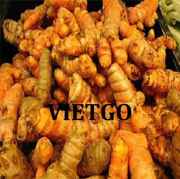 VIETGO-xuat-khau-nghe-Nga