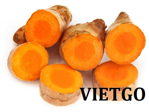 VIETGO-xuat-khau-nghe-Nga
