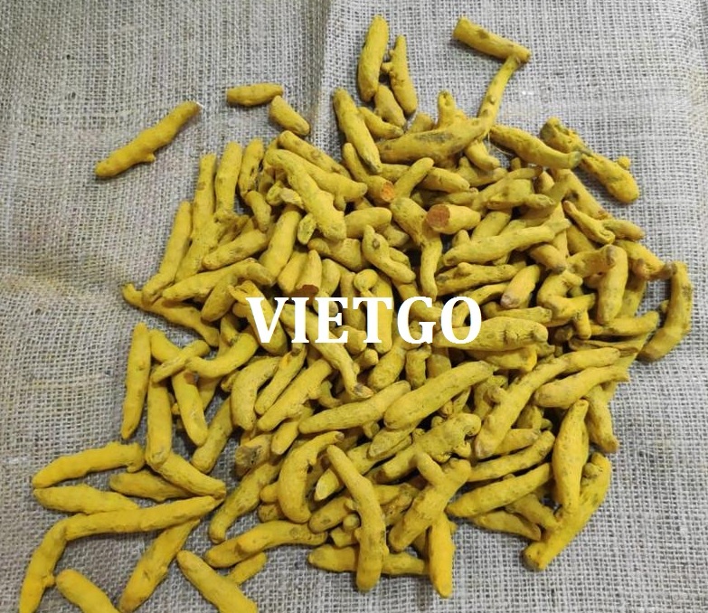 VIETGO-xuat-khau-nghe-kho-Morocco