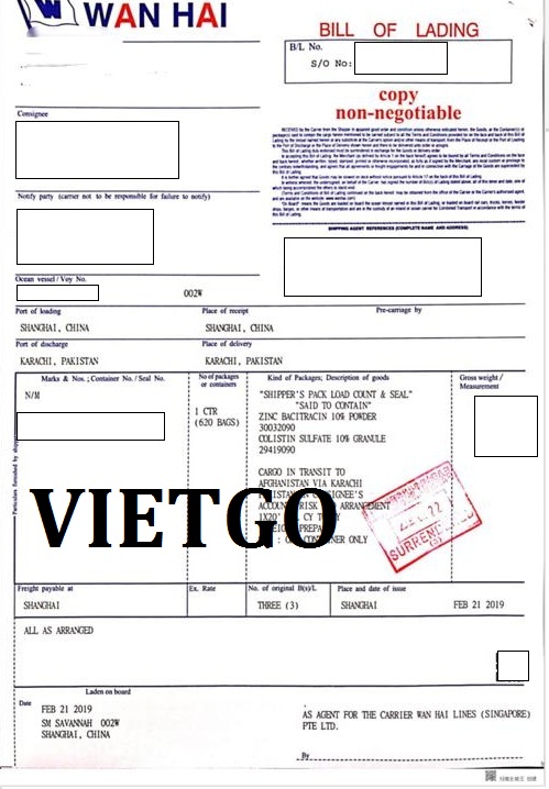 VIETGO-xuat-khau-ngo-Pakistan-Mayar