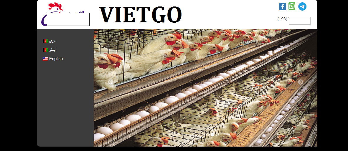 VIETGO-xuat-khau-ngo-Pakistan-Mayar