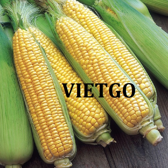 VIETGO-xuat-khau-ngo-Pakistan