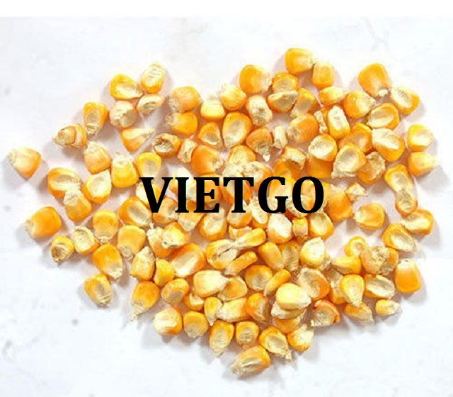 VIETGO-xuat-khau-ngo-Peru