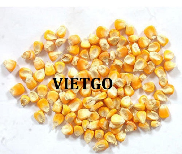 VIETGO-xuat-khau-ngo-Philippines-Wendy