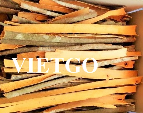 VIETGO-xuat-khau-quế-Ấn-Độ-Hussain