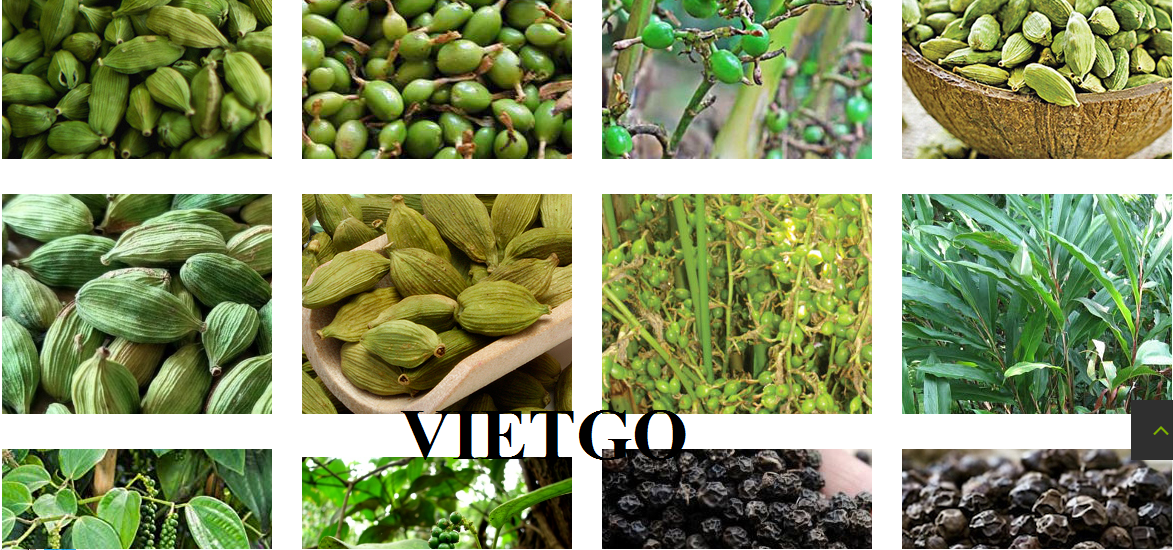 VIETGO-xuat-khau-quế-Ấn-Độ-Hussain