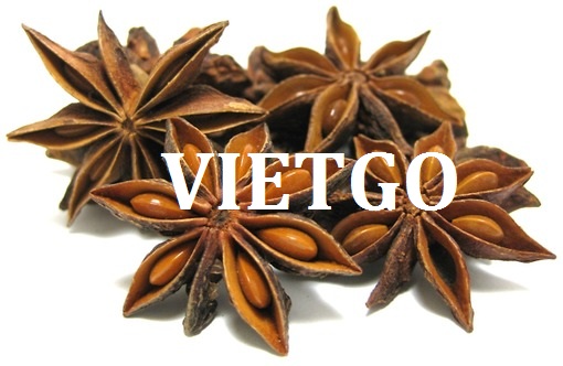 VIETGO-xuat-khau-quế-hồi-Ấn-Độ-Sridhar
