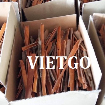 VIETGO-xuat-khau-que-An-Do-Rao