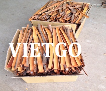 VIETGO-xuat-khau-quế-hồi-Ấn-Độ-MrTej