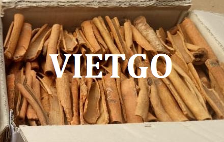 VIETGO-xuat-khau-quế-hồi-Ấn-Độ-MrTej