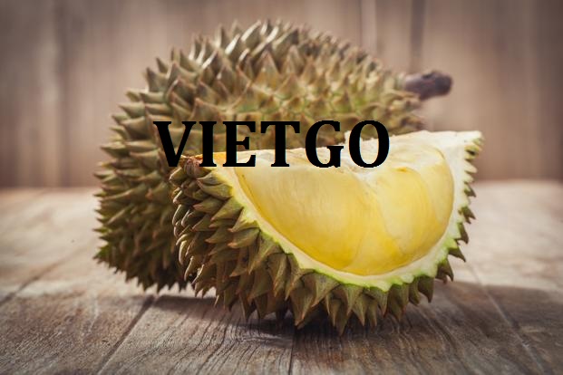 VIETGO-xuat-khau-sau-rieng-Trung-Quoc