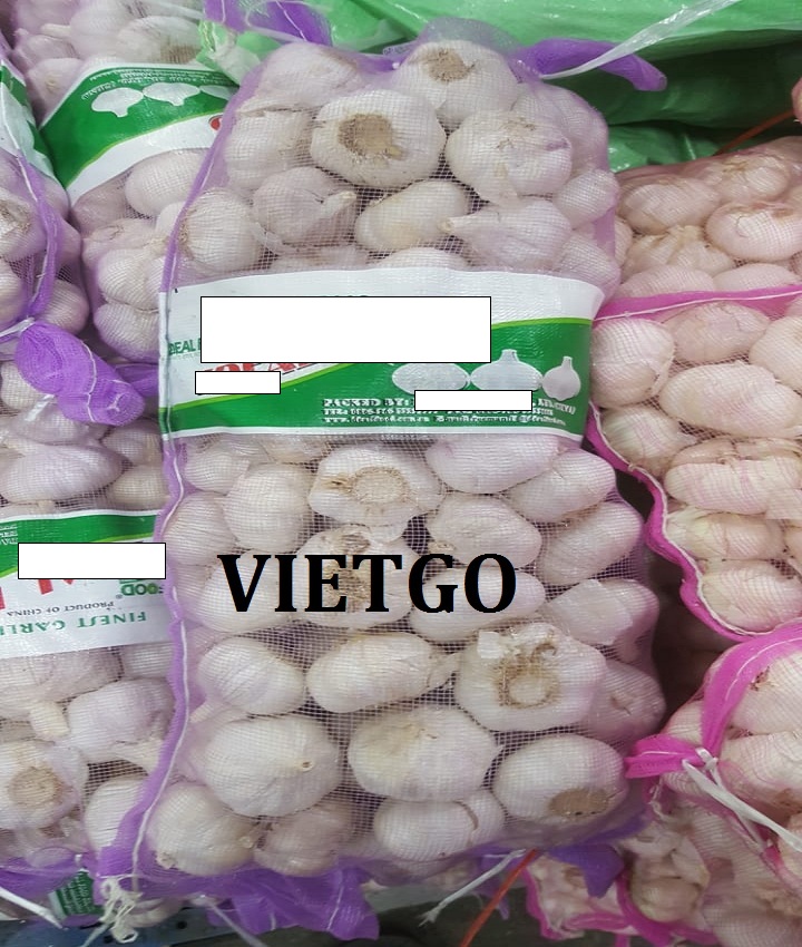 VIETGO-xuat-khau-tỏi-An-Do-Hassan