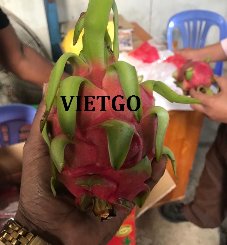 VIETGO-xuat-khau-thanh-long-Ấn-Độ