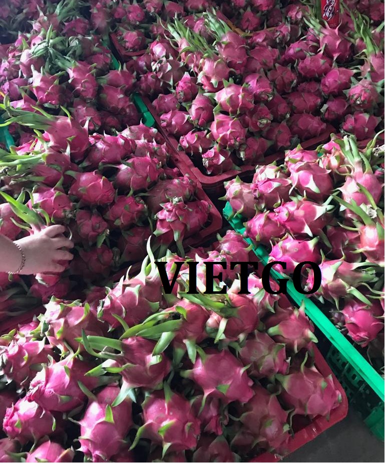 VIETGO-xuat-khau-thanh-long-Ấn-Độ