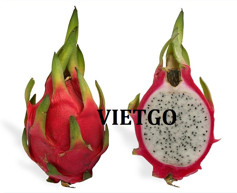 VIETGO-xuat-khau-thanh-long-An-Do-Ashish