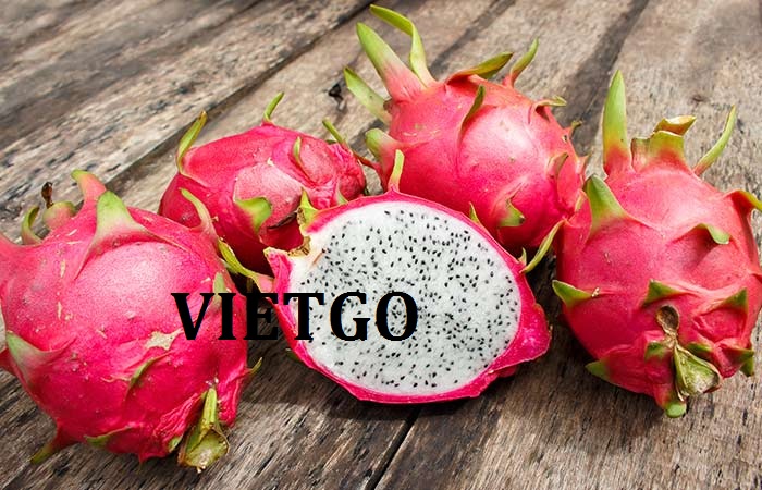 VIETGO-xuat-khau-thanh-long-An-Do-Irfan 