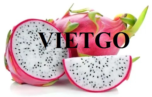 VIETGO-xuat-khau-thanh-long-Bangladesh-Mr-Sujan
