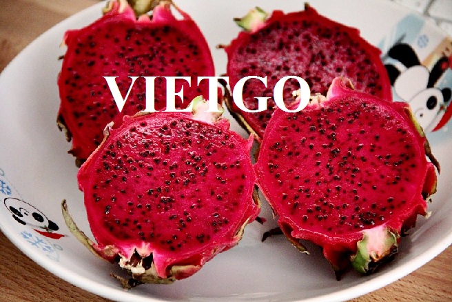 VIETGO-xuat-khau-thanh-long-Bangladesh-Mr-Sujan