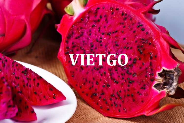 VIETGO-xuat-khau-thanh-long-Singapore-Francis