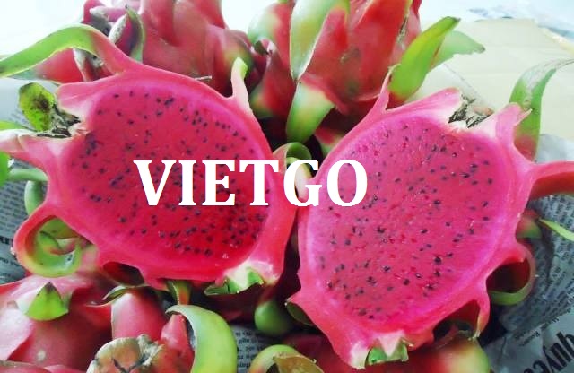 VIETGO-xuat-khau-thanh-long-Thai-Lan-Anlapat