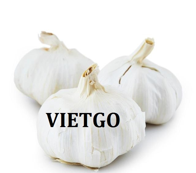 VIETGO-xuat-khau-toi-An-Do-Mithun