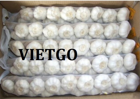 VIETGO-xuat-khau-toi-An-Do-Mithun