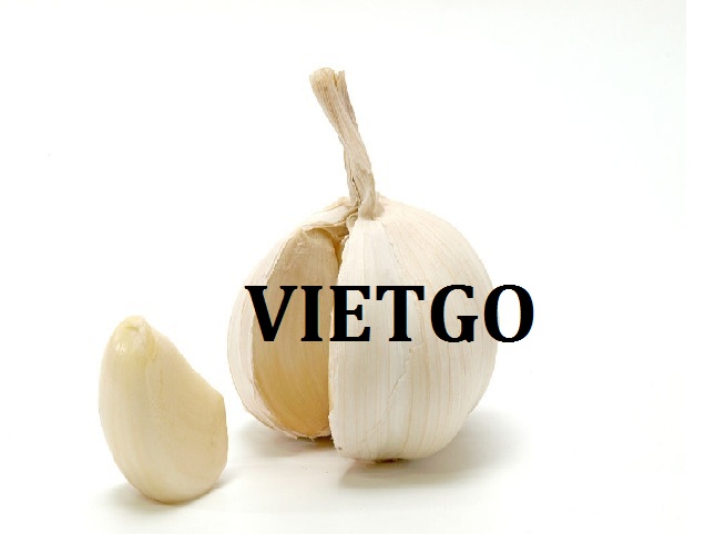 VIETGO-xuat-khau-toi-An-Do VIETGO-xuat-khau-toi-An-Do