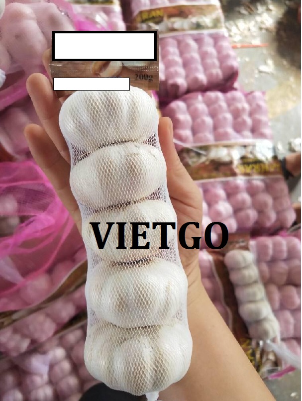 VIETGO-xuat-khau-toi-Jordan