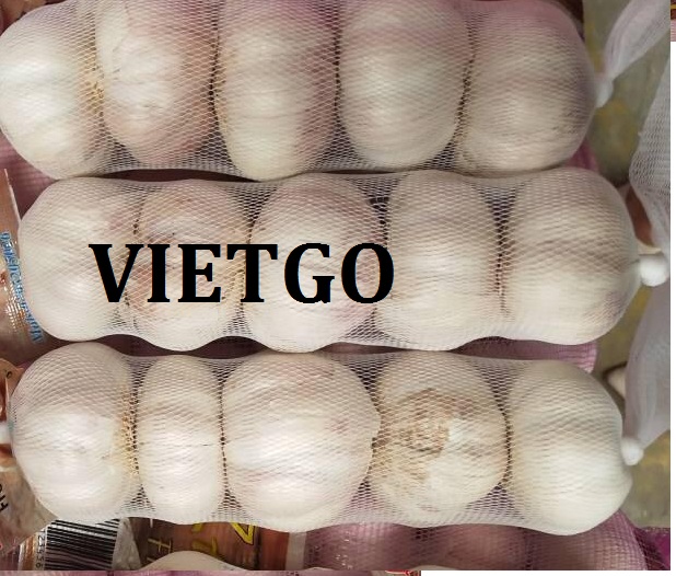 VIETGO-xuat-khau-toi-Jordan