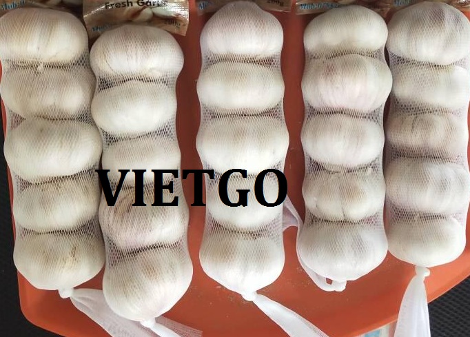 VIETGO-xuat-khau-toi-Jordan