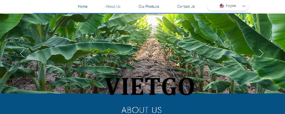 VIETGO-xuat-khau-tương-cà-chua-Ghana-MIss-Nidia