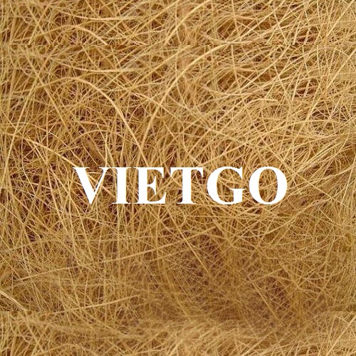 VIETGO-xuat-khau-xơ-dừa-Sri-Lanka-Siva