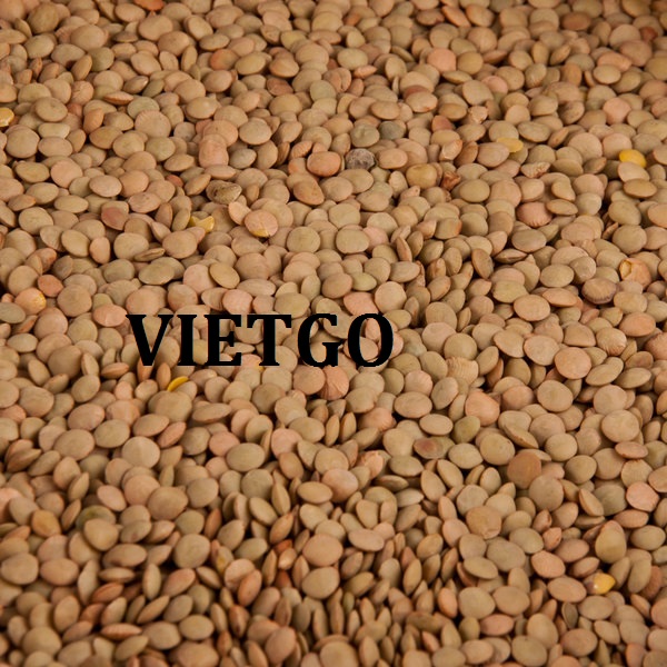 VIETGO-xuat-khau-đậu-Ai-Cập VIETGO-xuat-khau-đậu-Ai-Cập