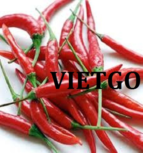 VIETGO-xuat-khau-ớt-khách-hàng-KongKong