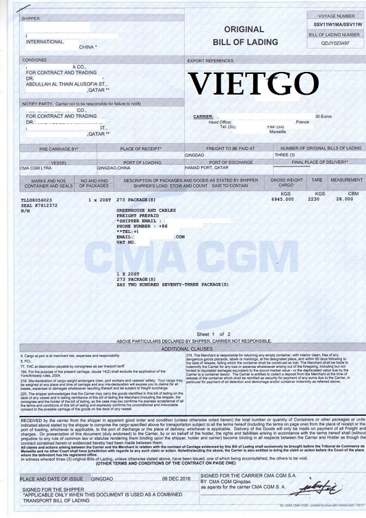 Vietgo-Mohamed-xuat-khau-electric-Moto