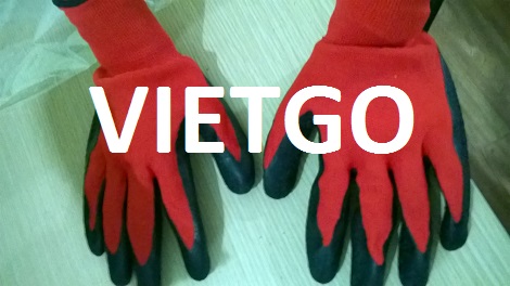 Găng Tay Vietgo Găng Tay Vietgo
