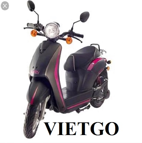 Vietgo-Mohamed-xuat-khau-electric-Moto