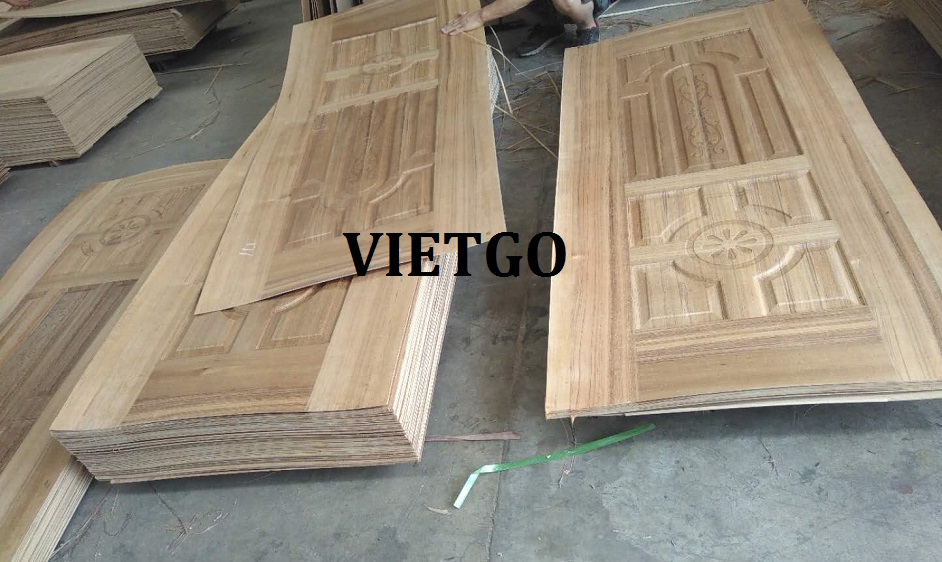 go-thong-xe-vietgo-ethiopia