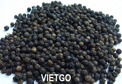 tiêu đen việt nam
