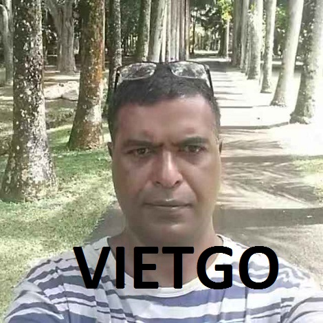 Xi Măng Vietgo