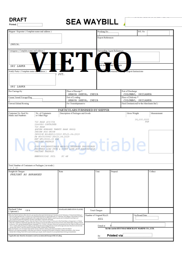 Hành Tây Vietgo