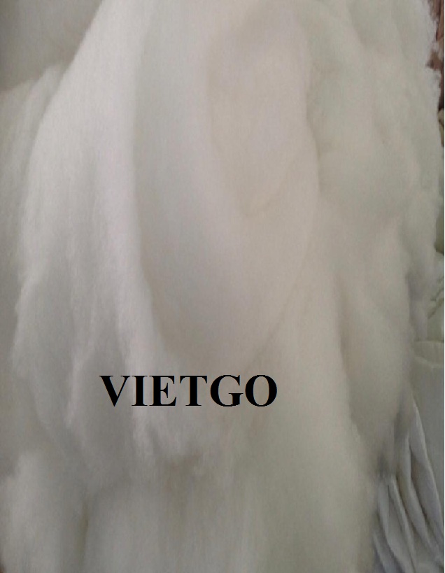 VIETGO-xuat-khau-gối-Maldives-Mannu