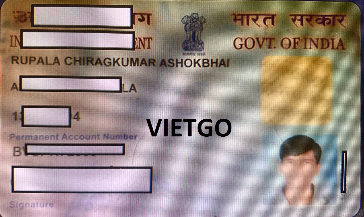 Gỗ Taek Xẻ Vietgo Gỗ Taek Xẻ Vietgo