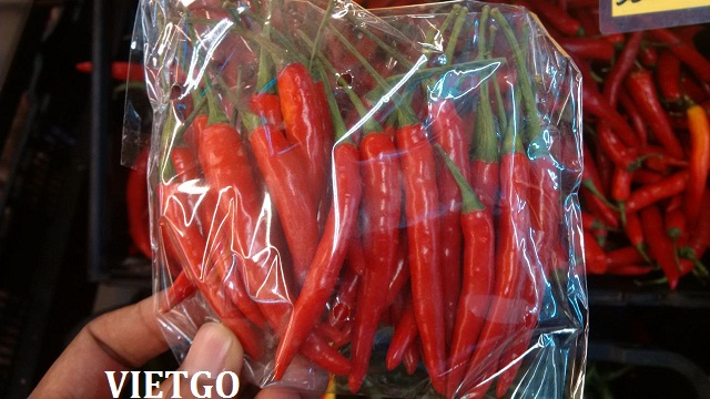 ớt việt nam