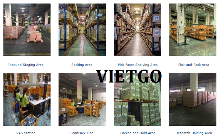 allan-viet-go-cat3
