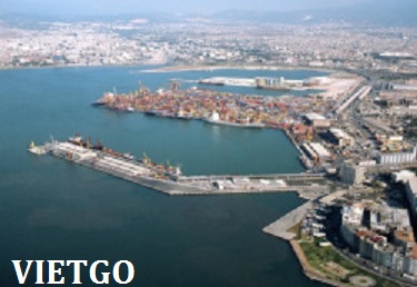 tỏi việt nam