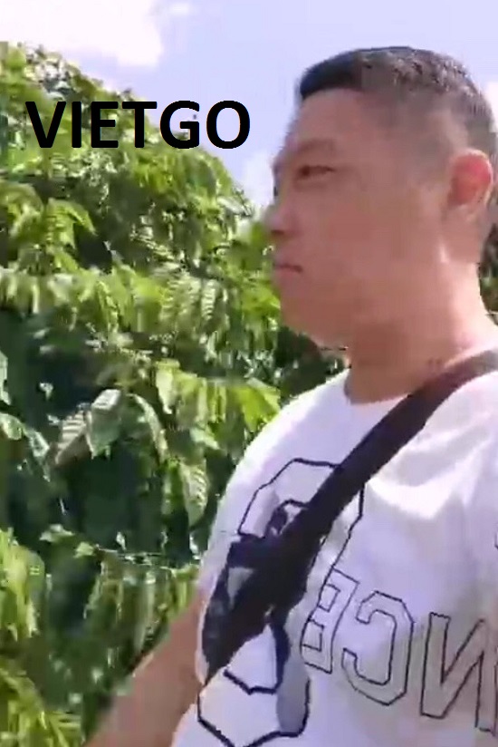 VIETGO-XUAT-KHAU-THAN CAPHE DEN TRUNG QUOC VIETGO-XUAT-KHAU-THAN CAPHE DEN TRUNG QUOC